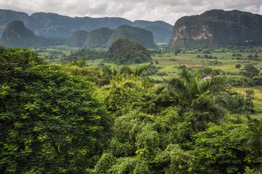 Küba'da mogotes, yatay üzerinden panoramik görünüm