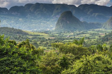 Küba'da mogotes, yatay üzerinden panoramik görünüm