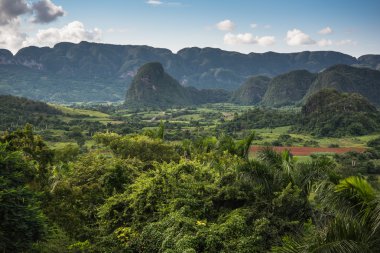 Küba'da mogotes, yatay üzerinden panoramik görünüm