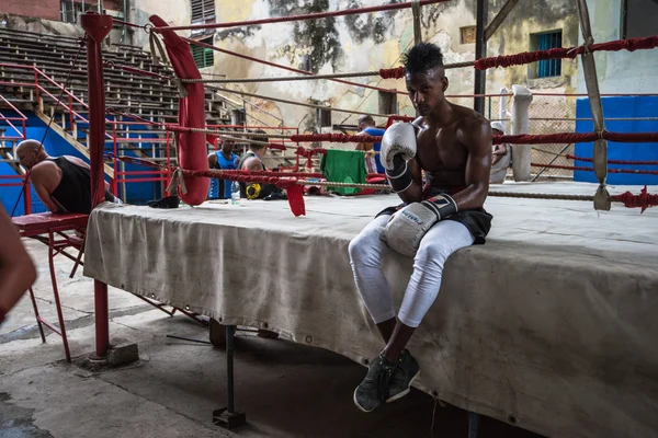 Jóvenes boxeadores entrenan en escuela de boxeo en La Habana, Cuba . — Foto de Stock