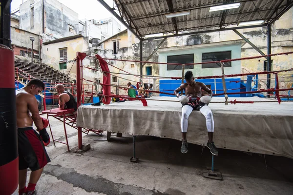 Jóvenes boxeadores entrenan en escuela de boxeo en La Habana, Cuba . — Foto de Stock