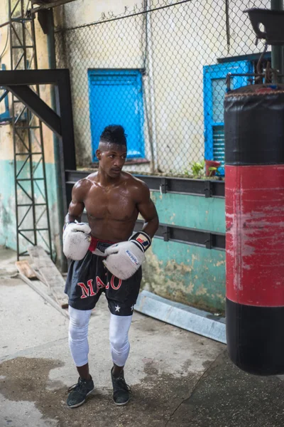 Jóvenes boxeadores entrenan en escuela de boxeo en La Habana, Cuba . — Foto de Stock