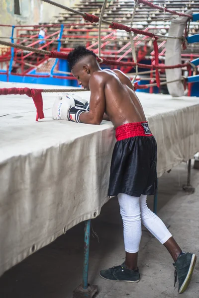 Jóvenes boxeadores entrenan en escuela de boxeo en La Habana, Cuba . —  Fotos de Stock