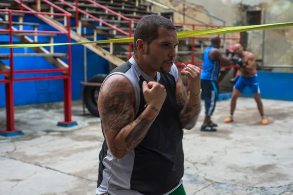 Jóvenes boxeadores entrenan en escuela de boxeo en La Habana, Cuba . — Foto de Stock