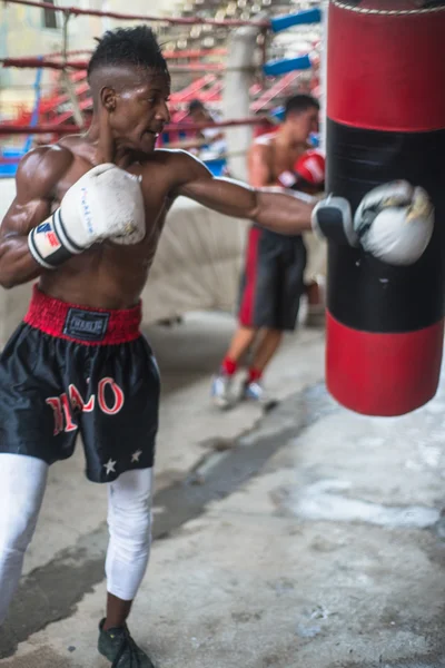 Jóvenes boxeadores entrenan en escuela de boxeo en La Habana, Cuba . — Foto de Stock