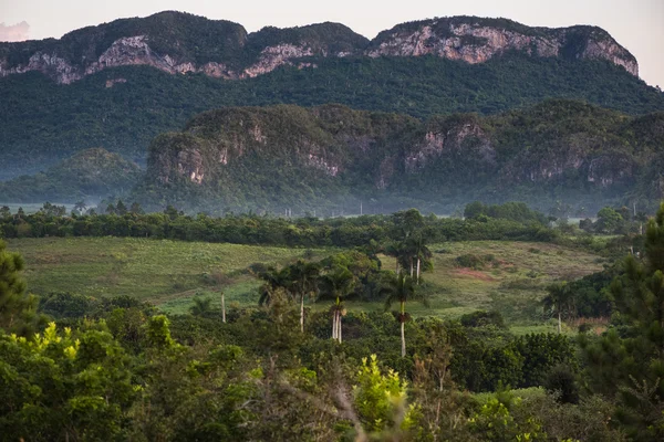 Landskap av mogote i Vinales Valley i Kuba. — Stockfoto