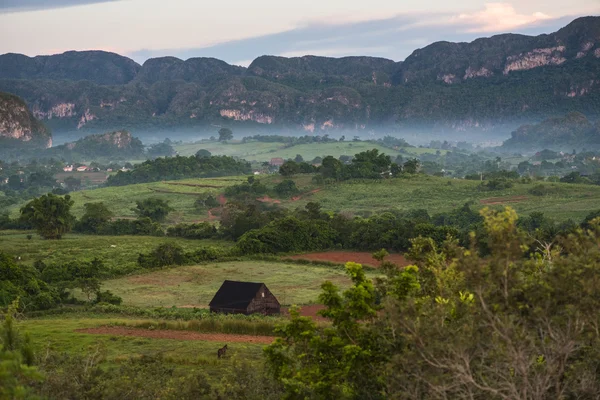 Пейзаж Могота в долине Виналес на Кубе . — стоковое фото