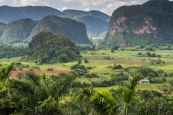 Küba'da mogotes, yatay üzerinden panoramik görünüm
