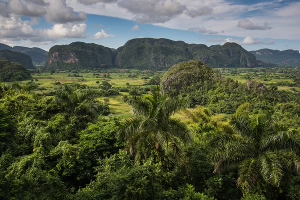 Panoramisch uitzicht over het landschap met mogotes in Cuba — Stockfoto