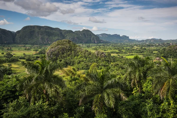 Panoramisch uitzicht over het landschap met mogotes in Cuba — Stockfoto