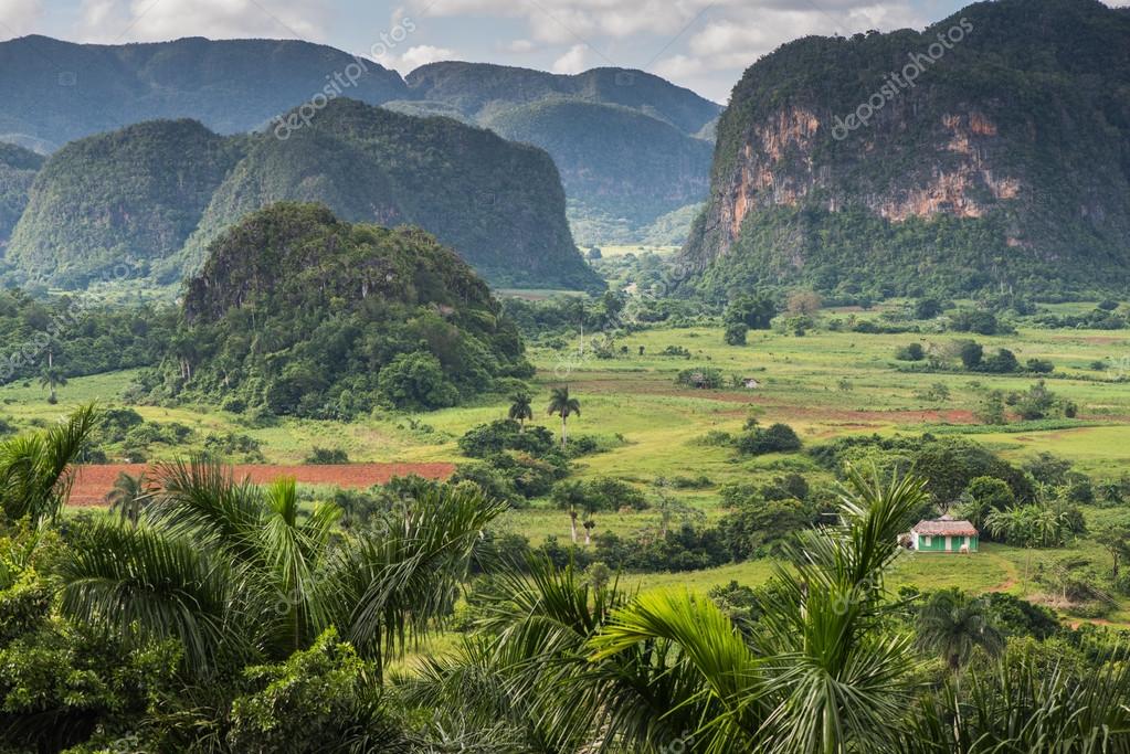 Vinales