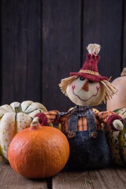 komik kabaklar ile korkuluk