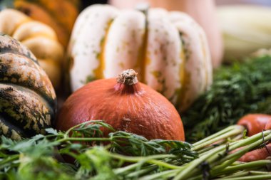 ahşap masa üzerinde taze sonbahar sebze pazarı