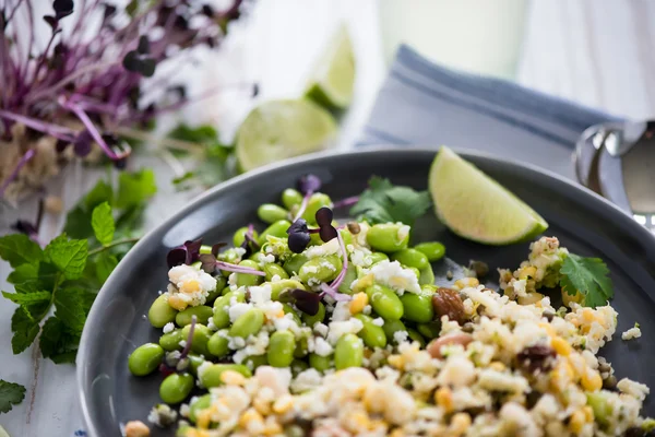 Wholefood Vegetarische Salade Met Edamame Sojabonen Quinoa Kamut — Stockfoto