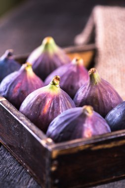 Taze canlı incir meyve