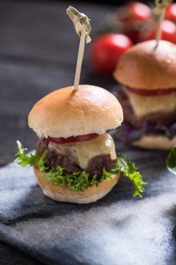 ev yapımı sığır eti Burger Peynirli