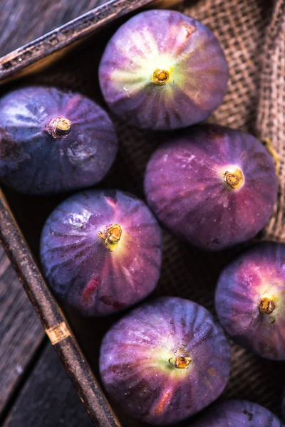 Frescos higos vibrantes fruta —  Fotos de Stock