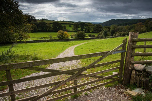 Paisagem rural no outono — Fotografia de Stock