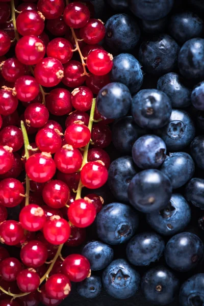 Farm fresh summer berry fruits background — Stock Photo, Image