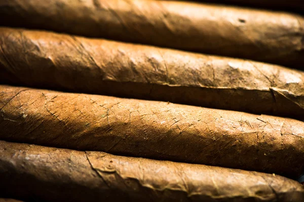 Kubanische Zigarren Hintergrund — Stockfoto