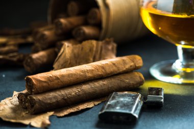 Küba puro tütün yaprakları