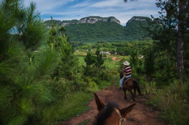 Vinales Valley, Küba - 24 Eylül 2015: riddin yerel kovboylar