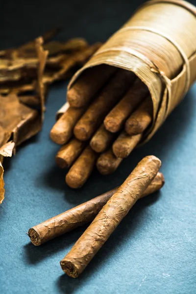 Kubanische Zigarren in traditioneller Palmblätterbox — Stockfoto