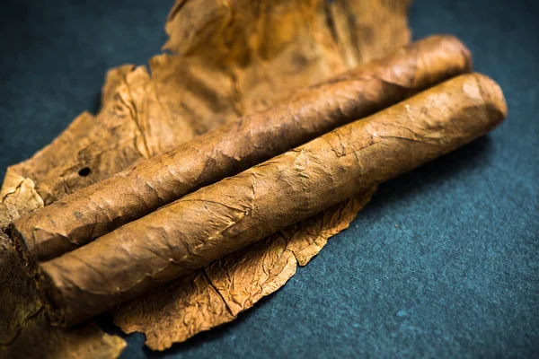 Cuban cigars on tobacco leafs — Stock Photo, Image