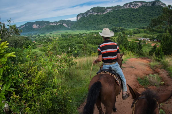 Vinales Valley, Kuba - 24 September 2015: Lokala cowboys riddin — Stockfoto