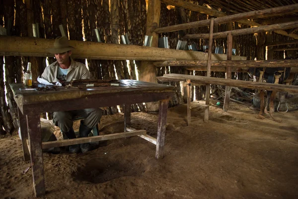 Vinales долини, Куби - 24 вересня 2015: Молодий фермер Кубинський ма — стокове фото
