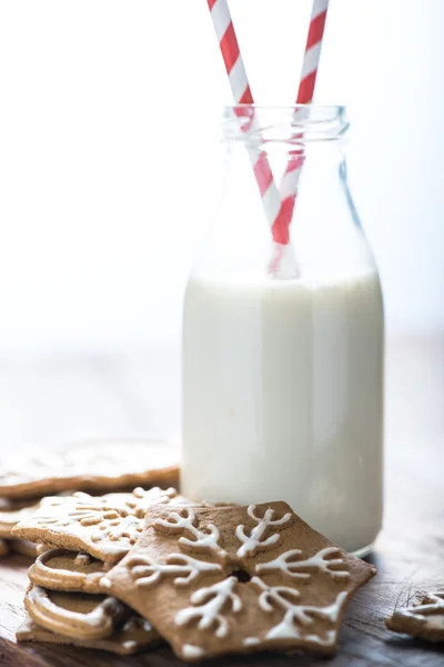 Homemade gingerbread Christmas cookies — Stock Photo, Image