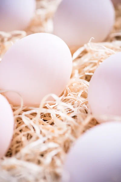 Çiftlik Taze Beyaz Yumurta Ahşap Sandık Saman Stok Resim