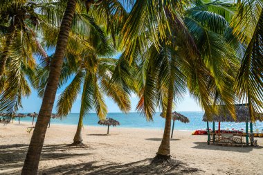 Yaz beyaz kum plaj manzarası palmiye yaprakları arkasından