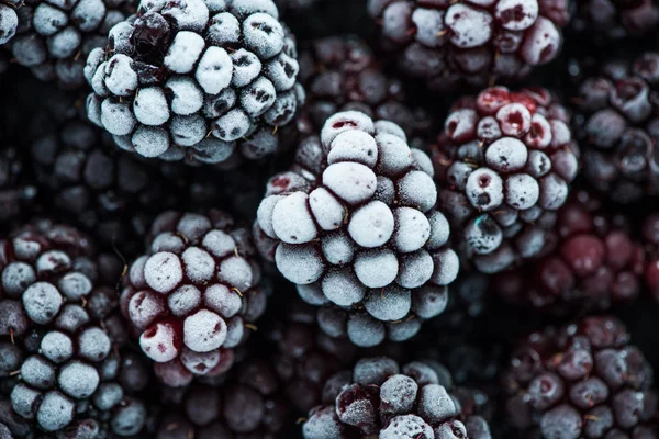 Vista próxima em frutas congeladas Blackberry — Fotografia de Stock