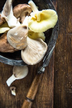 Vahşi orman rustik kase mantar