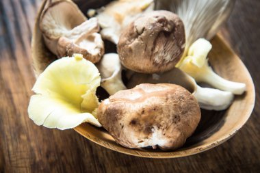 Vahşi orman rustik kase mantar