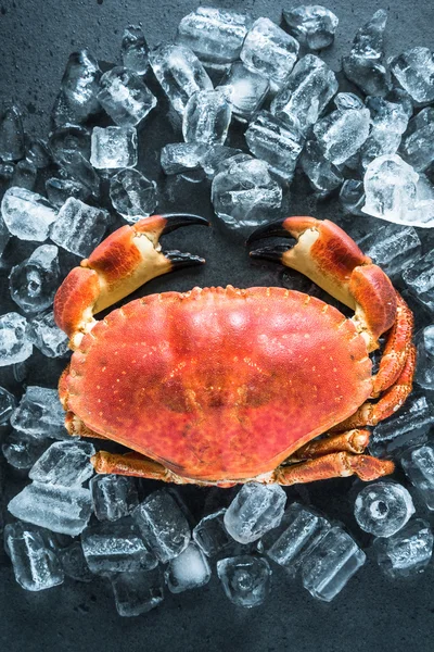 Ganze Krabbe auf dunklem Schiefer und Eis — Stockfoto