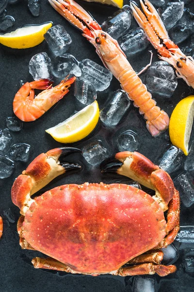 Весь свежий морепродукты темный фон — стоковое фото