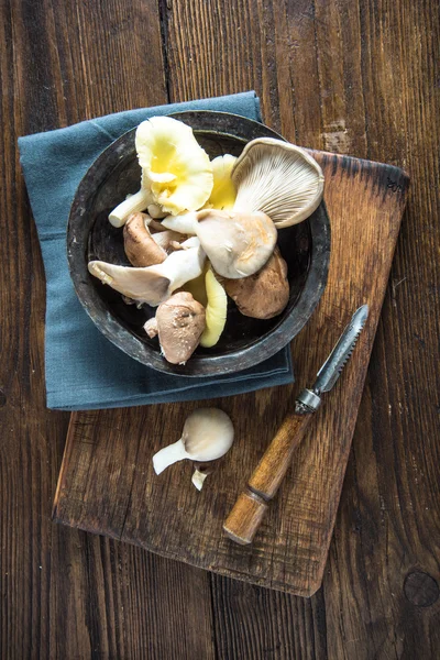 Wild mushroom on wooden table — Stock Photo, Image