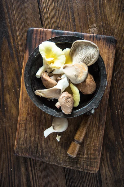 Wild shiitake mushrooms on rustic table — Stock Photo, Image