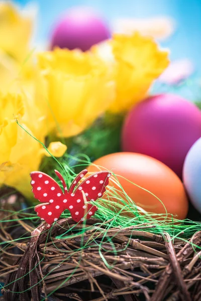 Bahar yuva ile boyalı yumurta — Stok fotoğraf