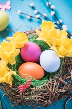 Bahar yuva ile boyalı yumurta