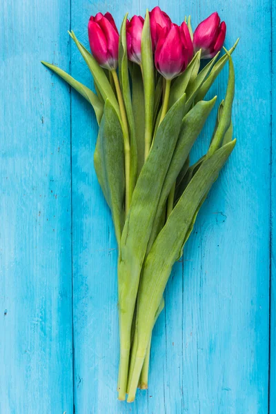 Kilka świeżych tulipany na żywe tabeli — Zdjęcie stockowe