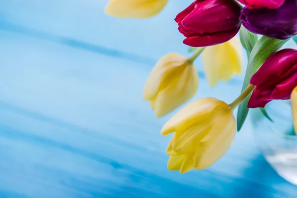 Fresh spring bunch of tulips — Stock Photo, Image