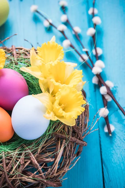 Kuş yuvası ile Paskalya yumurtaları — Stok fotoğraf