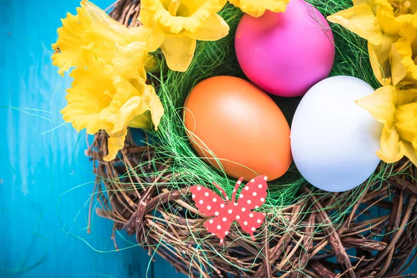 Kuş yuvası ile Paskalya yumurtaları — Stok fotoğraf