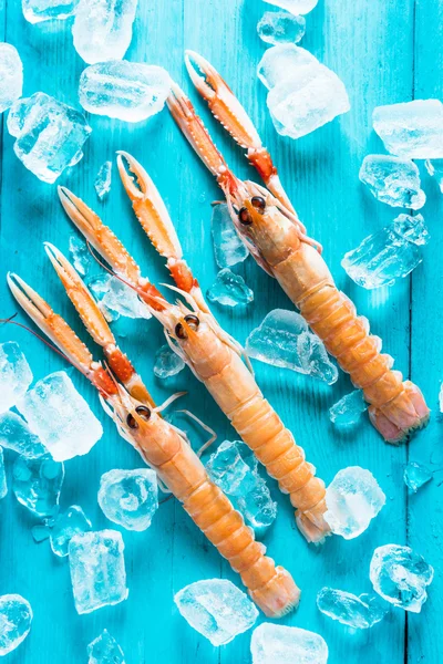 신선한 langoustines 생생한 배경 — 스톡 사진