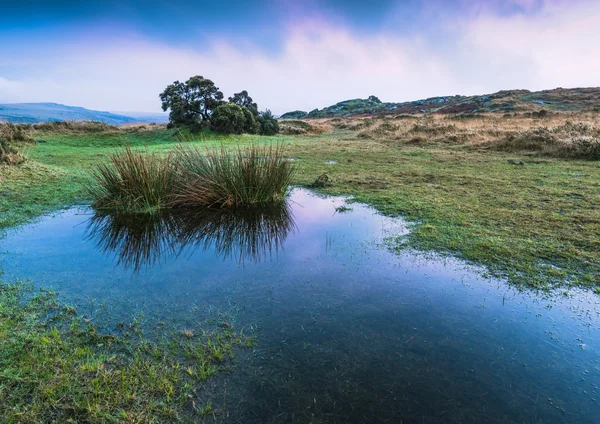 Sky reflection in wild pond — Stock Photo, Image