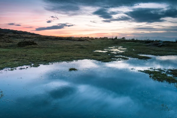 Reflexia cerului în iazul sălbatic — Fotografie, imagine de stoc