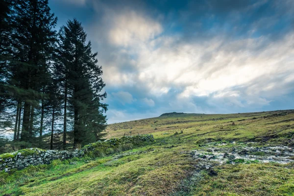 Panoramiczny widok na wrzosowiska w Devon, Wielka Brytania — Zdjęcie stockowe